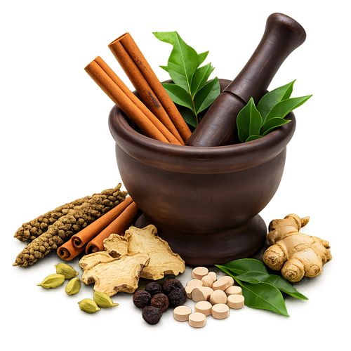 Dr. Shivani Tomar Bhadauria Ayurvedic Clinic